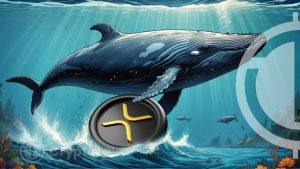 Whale Investors Increase XRP Holdings Amid Recent Price Dip – Key Support Levels to Watch