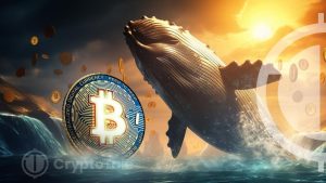 Bitcoin’s $675 Million Transfer Sparks Market Buzz: What’s Next?