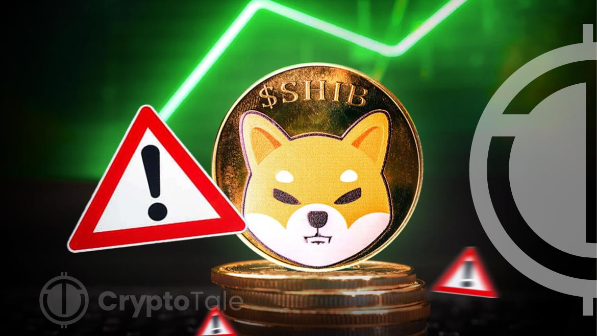 Shiba Inu Expert Warns Shiba Inu Community to Rising Scam Risks