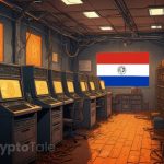 Penguin Exec Blames 'Vulture Contracts' for Slowing Bitcoin Mining in Paraguay