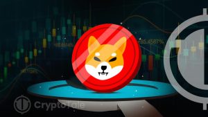 A Detailed Review on Shiba Inu Ecosystem