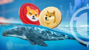 Shiba Inu Burn Surges as DOGE and SHIB Whale Transactions Soar: Report