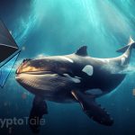 Ethereum Whales Accumulate as Filecoin Signals a Rebound