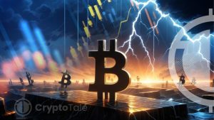 Bitcoin Shows Promising Growth, Analysts Predict Future Stability