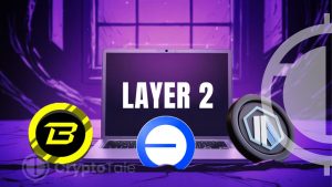 Leading Layer 2 Platforms Surge in TVL Rankings in Q2 2024