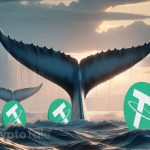 Whale Activity on Binance Sparks Speculation Over Massive USDT Transfers