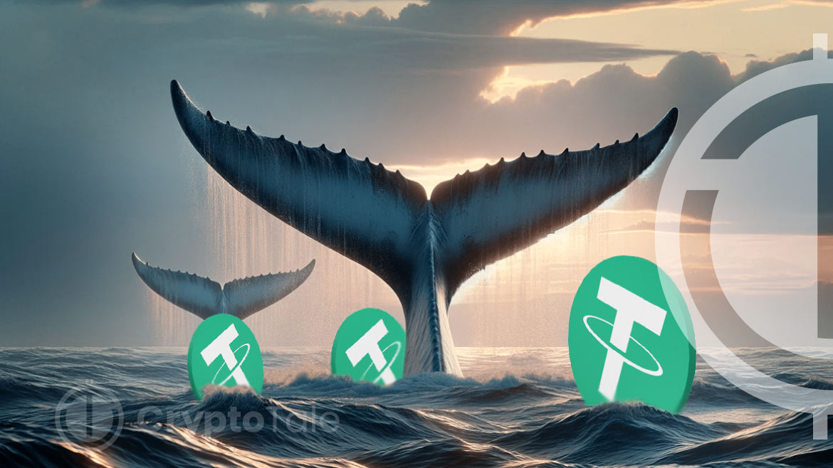 Whale Activity on Binance Sparks Speculation Over Massive USDT Transfers