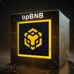 BNB Chain Unveils opBNB Testnet with Boosted Gas Limit and Lower Fees