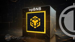 BNB Chain Unveils opBNB Testnet with Boosted Gas Limit and Lower Fees