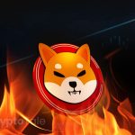 Shiba Inu Burn Rate Surges by 482.88% in 24 Hours