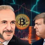 U.S. Govt. Bitcoin Holdings Under Scrutiny After Trump's Strategic Reserve Proposal