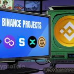 Axie Infinity Leads Binance Projects with 1,649x Return