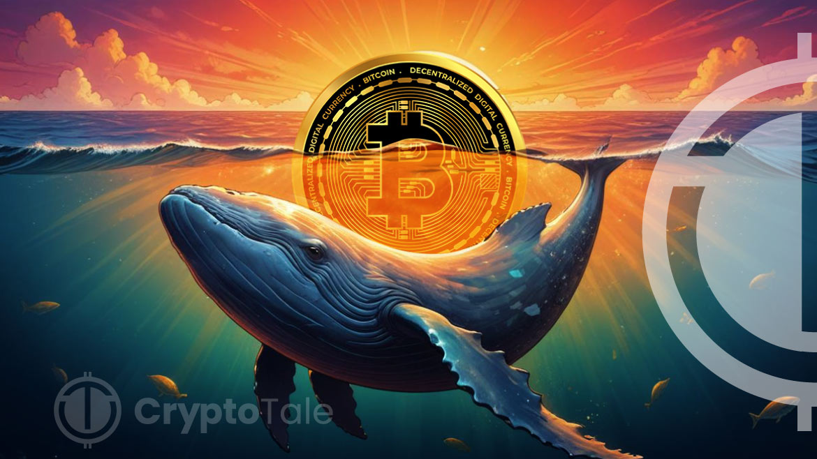 BTC Whale Transactions Hit Four-Month High Amid Price Drop