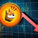 BONK Price Drops 24% in 48 hours: Rebound Coming?