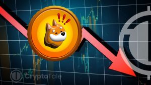 BONK Price Drops 24% in 48 hours: Rebound Coming?