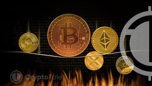 BTC Rebounds Past $61K: Bullish Sentiment Across Top Crypto