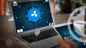 Ripple Propose Solutions for SME Issues in Global Payments