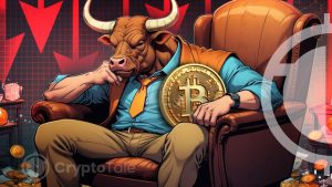 Why There Was No Bull Run After the 2024 Bitcoin Halving?