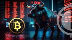 Analysts Predict BTC Bull Market: Six-Figure Target by 2025