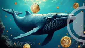 Bitcoin & Ethereum Whale Transactions Drop Since March Peak