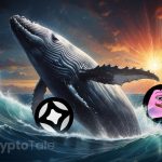 Crypto Whale Activity: SuperRare, PepeFork and Stargate Lead