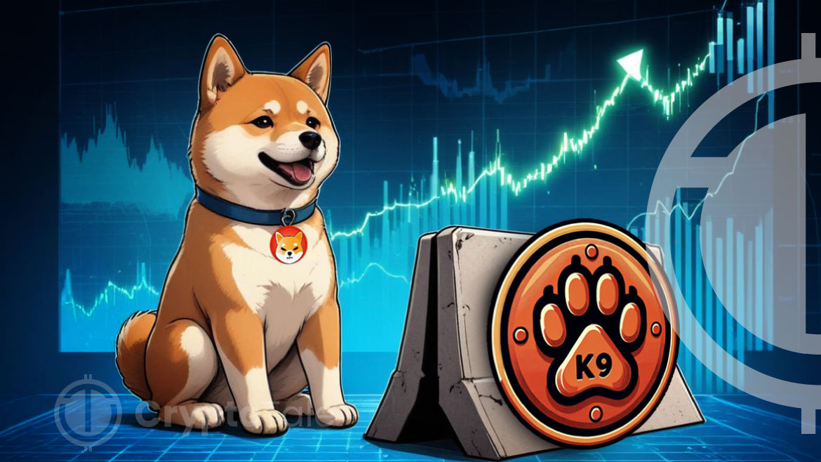 K9 Finance’s Liquid Staking Launches on Shibarium on Sept 18