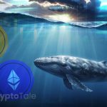 Whale Transactions Drop,Yet Accumulation Trend Persist