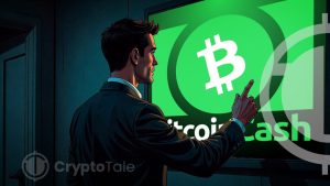 A Comprehensive Review of Bitcoin Cash: Is BCH the Future?