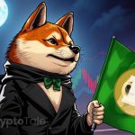 Dogecoin Bull Flag Signals 45% Rally Potential To $0.56