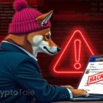 Dogwifhat Hack Exposes Rising Crypto Scams on Social Media