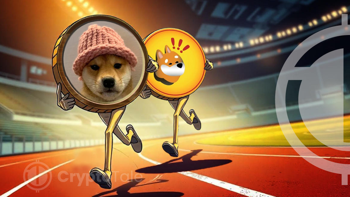 Dogwifhat Surpasses Bonk as Solana’s Leading Memecoin