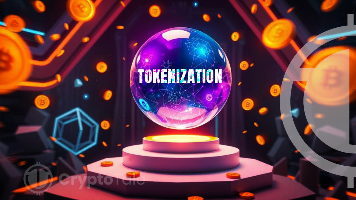 Is Tokenization a Threat or Solution to Financial Stability?