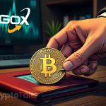 Mt.Gox Moves 2.5K BTC to Masked Wallets in Latest Transfer