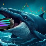 Solana Hits Yearly High with Growing Whale Accumulation