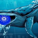 Whales Drive ADA Growth with Wallet Holdings on the Rise