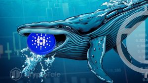 Whales Drive ADA Growth with Wallet Holdings on the Rise