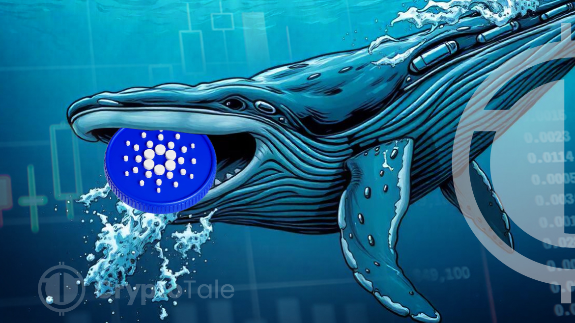 Whales Drive ADA Growth with Wallet Holdings on the Rise