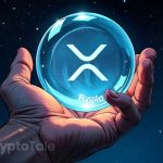 XRP Rises On Market Optimism: Price Predictions And Trends