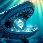 Ethereum Whales Control 57%: What Does This Mean for Price?