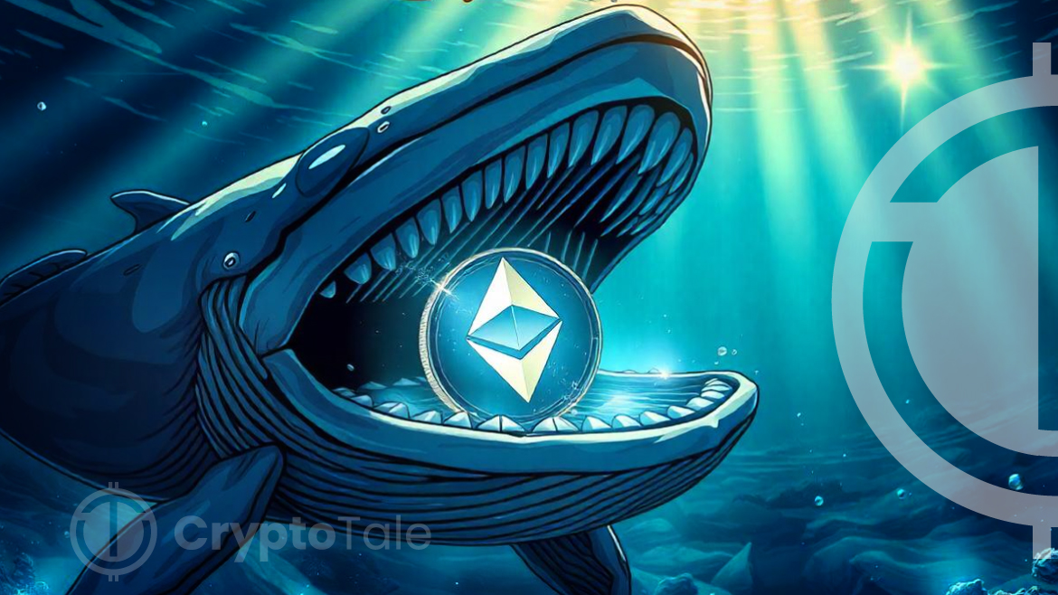 Ethereum Whales Control 57%: What Does This Mean for Price?