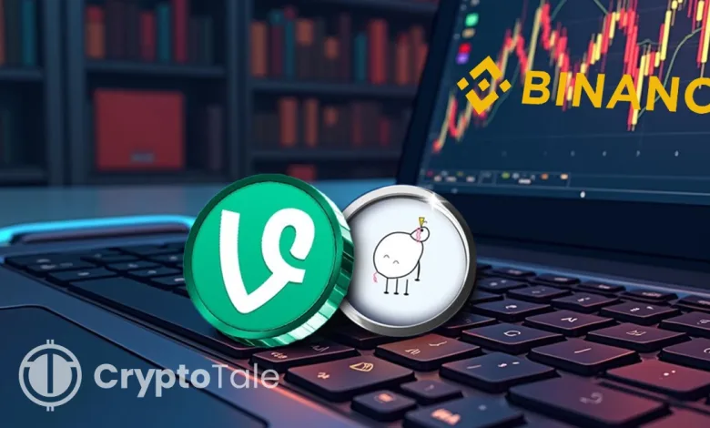 Binance Launches VINE & PIPPIN Futures Safe or Risky Bets