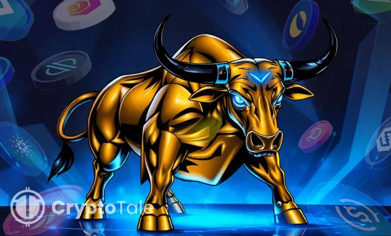 Crypto Bull Run 2025 Adoption and Regulations Fuel Growth