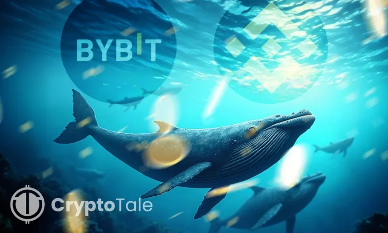 Whales Move Millions in Crypto to Exchanges in 24 Hours