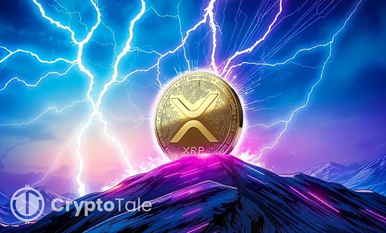 XRP Aims for 20% Dominance with 310% Increase on the Horizon