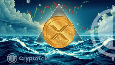 XRP’s Bermuda Triangle Projects $27: New Arcs, Wave 3 & More