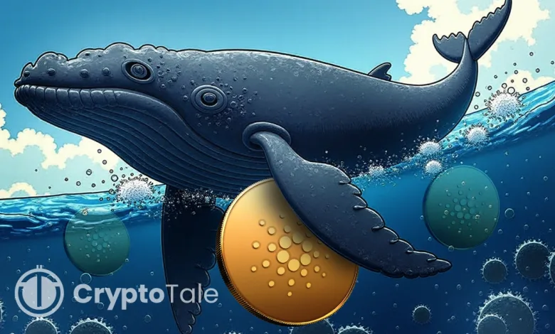 Cardano's Market Outlook Whale Activity and Price Trends