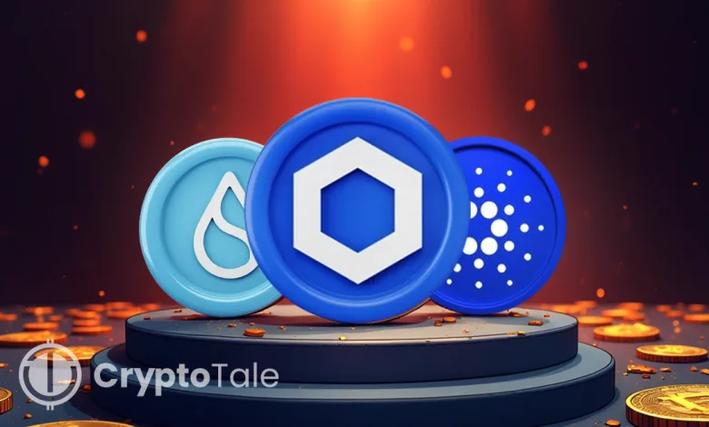 Chainlink Cardano and Sui Traders Watch Key Price Levels