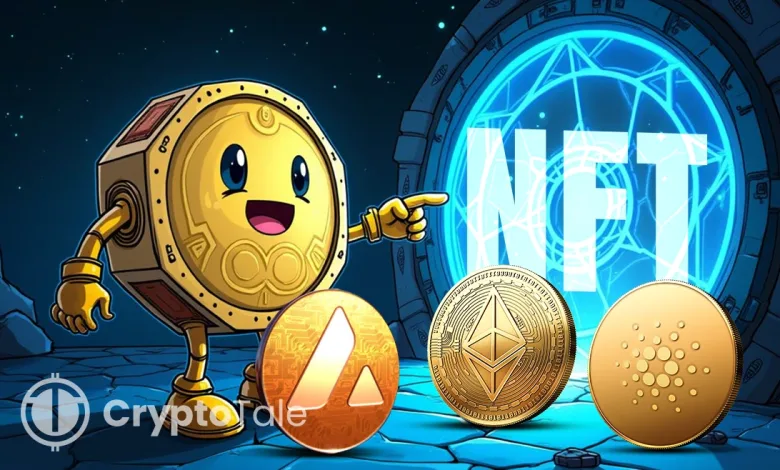 Exploring Altcoins That Have Strong Use Cases in the NFT Space