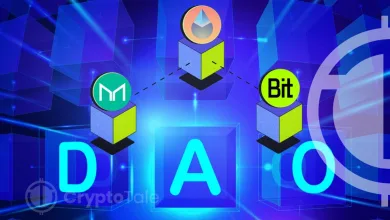 Growing Role of DAO in Decentralized Landscape