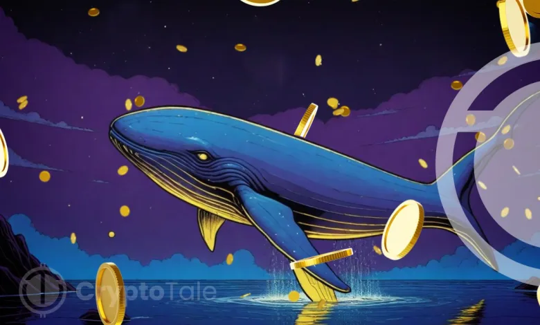 How Crypto Whales Are Influencing the Crypto Market Dynamics